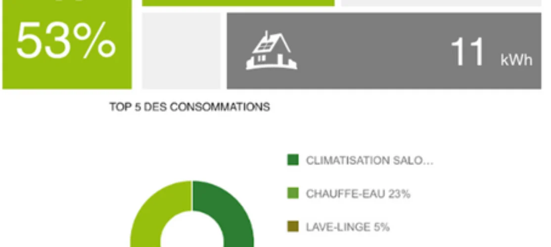 Économisez intelligemment : Adoptez une box gestionnaire de consommation pour maîtriser vos dépenses électriques !